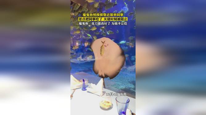 魔鬼鱼上班吃同事