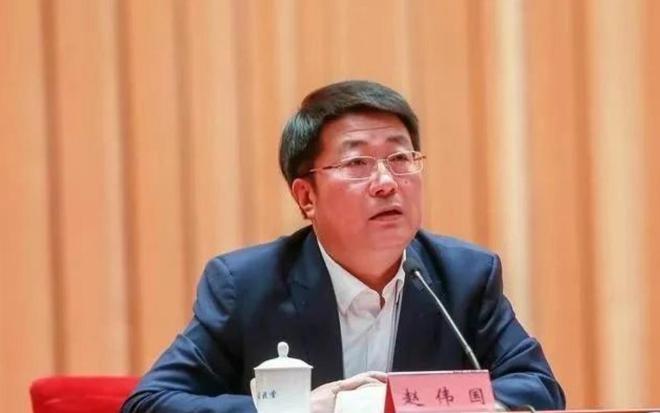 紫光集团原董事长赵伟国被判死缓