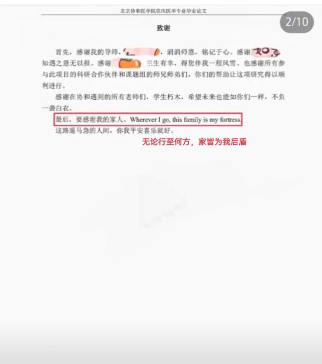 董袭莹入学资格造假、抄袭剽窃