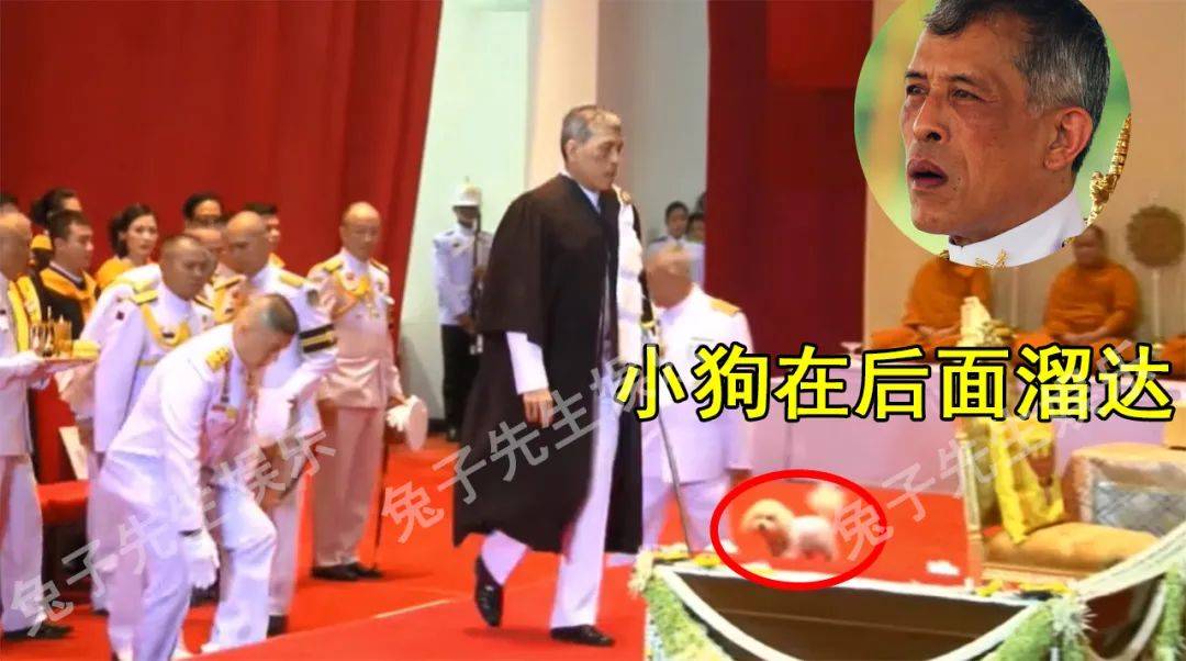 带着我的小狗上台参加毕业典礼