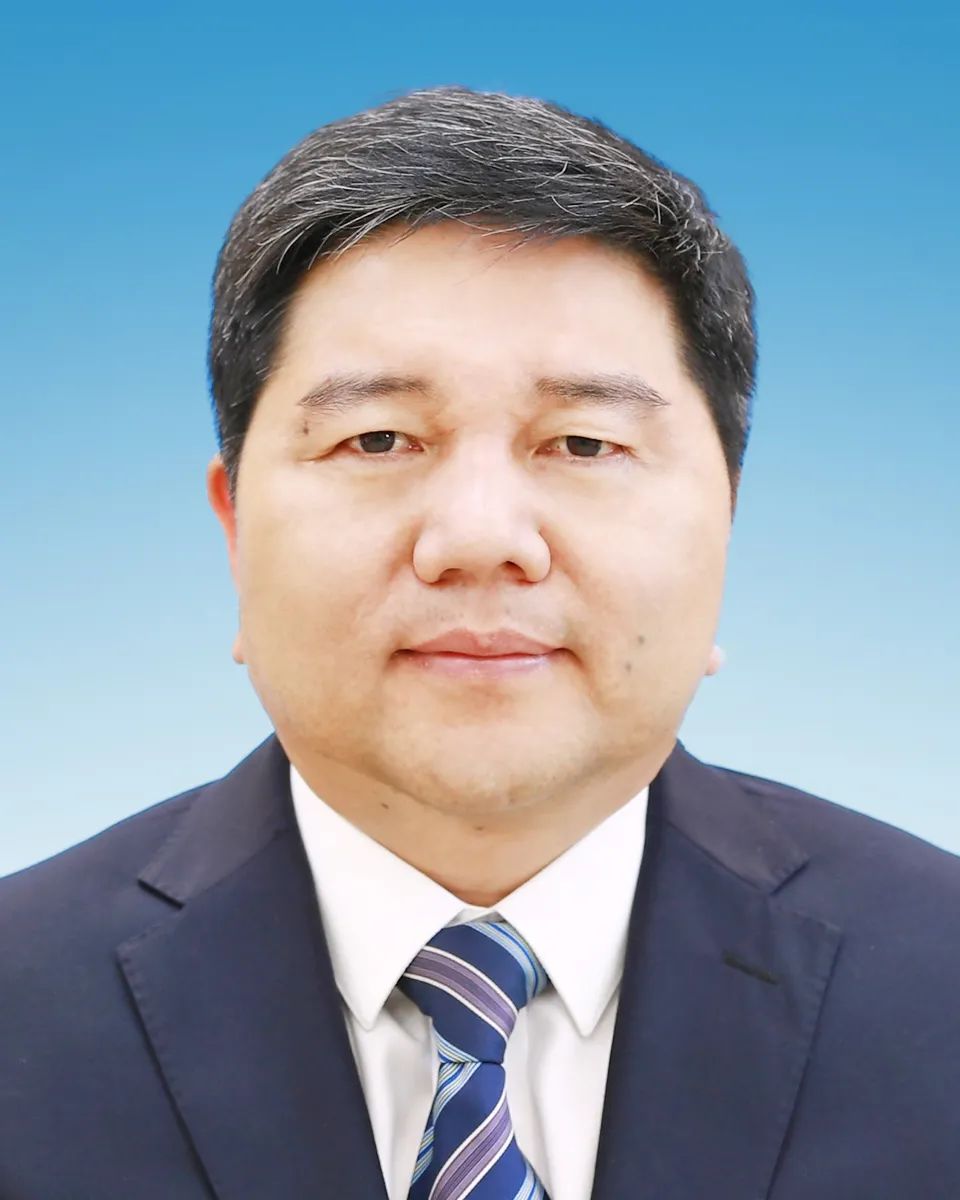 正厅级李成武任上主动投案