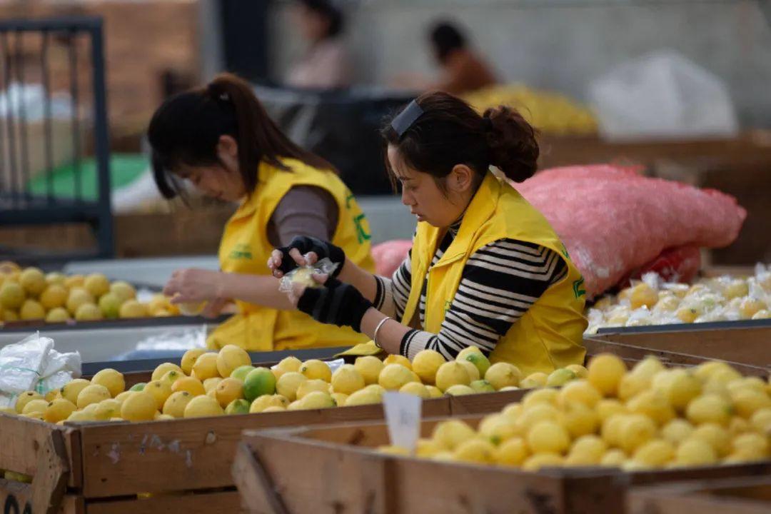 蜜雪冰城回应网友倒卖柠檬水赚差价