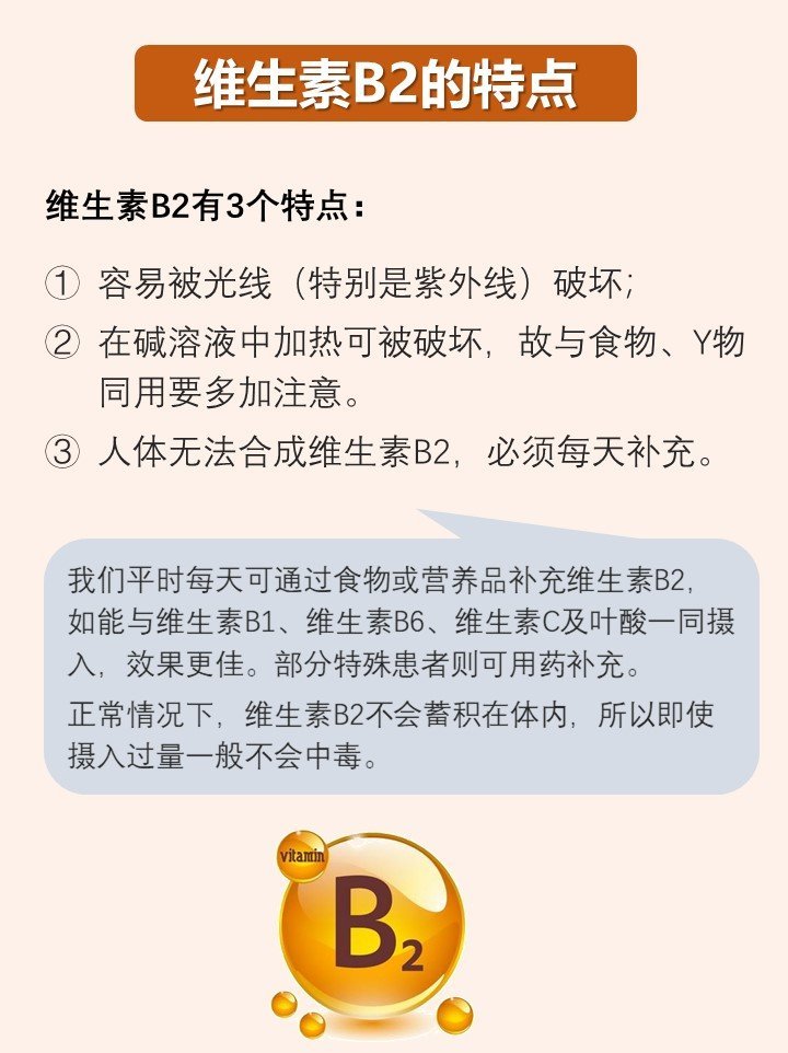 维生素b2带来的浪漫