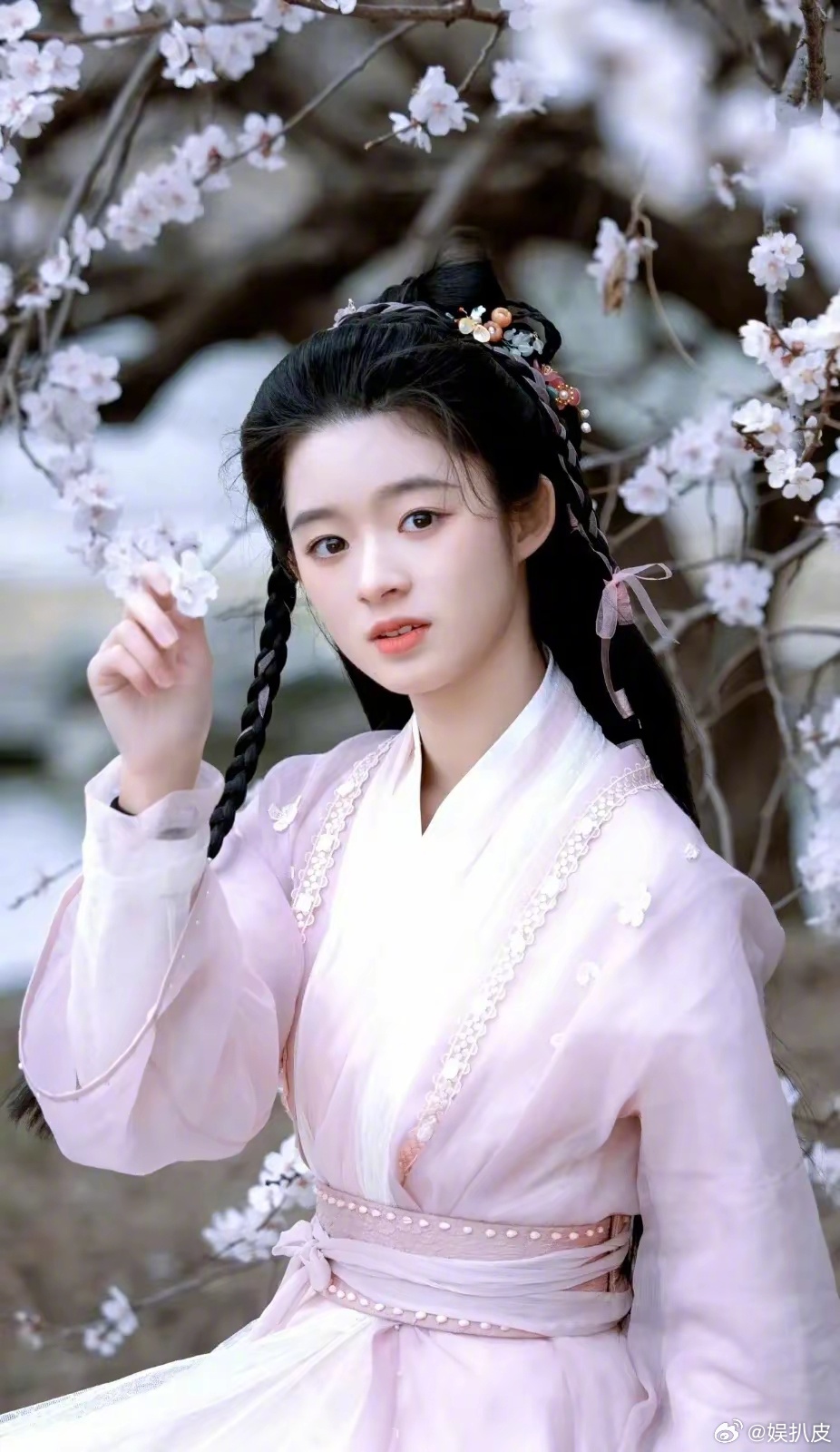 黄杨钿甜父亲入职离职动机可疑：背后隐藏的真相令人震惊！