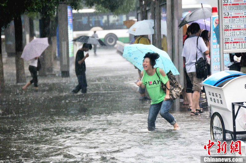 暴雨家长划桨板接娃：一场令人揪心的"水上救援"背后隐藏了什么？