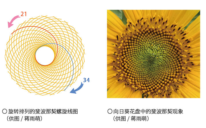 "韩反华情绪螺旋上涨"引担忧：为何中韩关系陷入低谷？